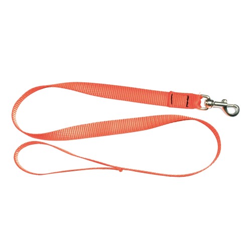 Laisse sangle nylon fluo orange 1.20m