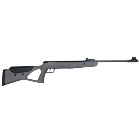 DIANA TWO-SIXTY - grise cal.4,5mm 19.9 J (pack)