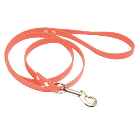 Country - Laisse Biothane orange fluo pour chien