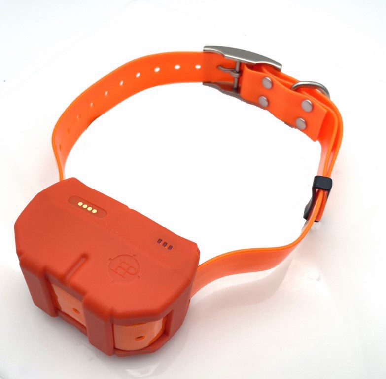 Collier de dressage et repérage GPS Huntpower - Dogze 4G