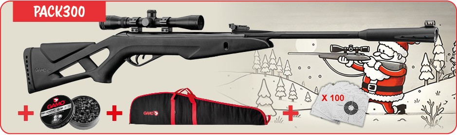 Pack Noël 2024 Gamo Whisper X - 19.9J
