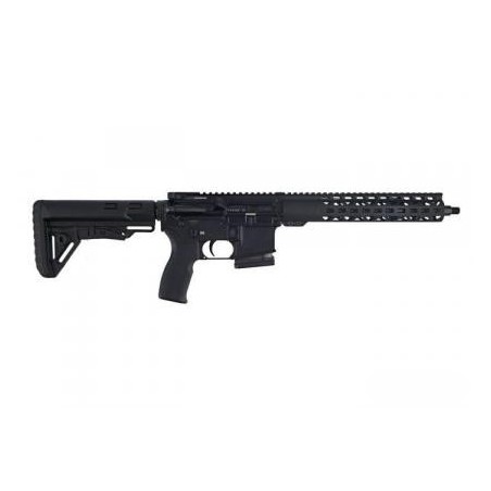 Carabine AR15 Legacy armament STORM 223REM
