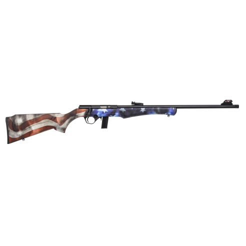 Rossi - Carabine 8122 22lr USA