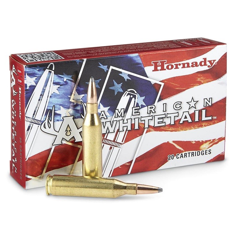 HORNADY - cal 30-06 SPRG 180gr SP