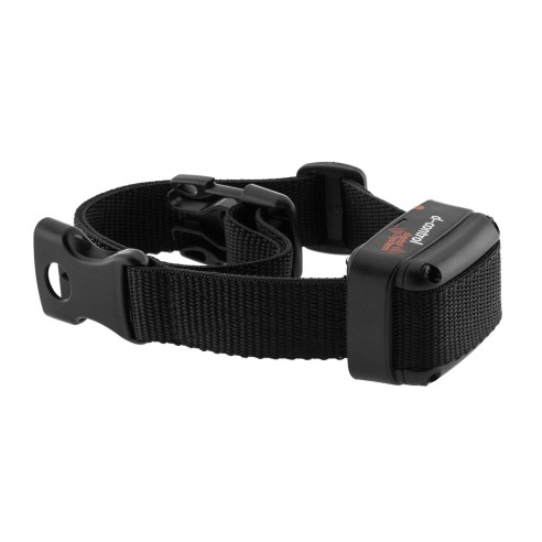 Collier de Dressage Dogtrace D-Control 200m