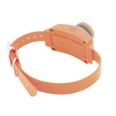 Collier Beeper Supplémentaire De Dressage SportDog