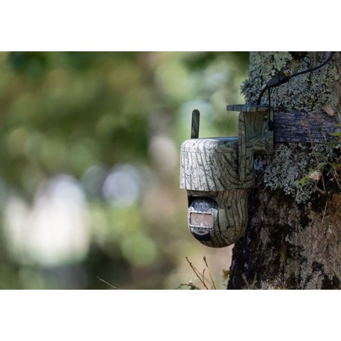 Caméra 4g reolink g770 – auto intelligent &...