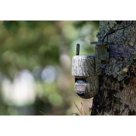 Caméra 4g reolink g770 – auto intelligent & zoom, 100% solaire