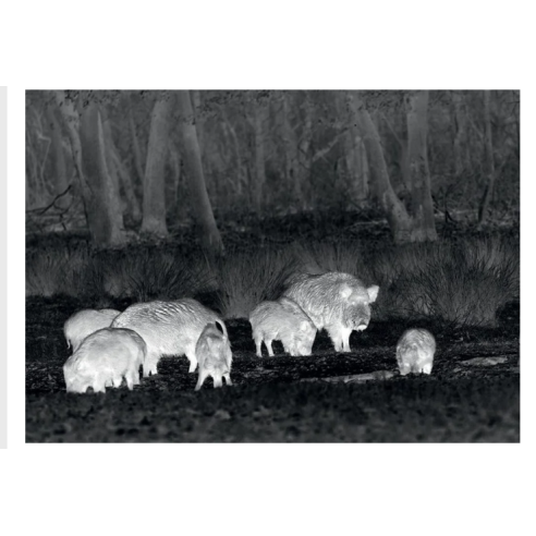 MERKEL - Carabine Rx HELIX speedster vert...