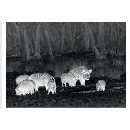 MERKEL - Carabine Rx HELIX speedster vert fileté cal 30-06 - 51cm + monoculaire thermique Thermtec Cyclone offert