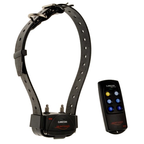 Collier de Dressage Canicom Kit 200m