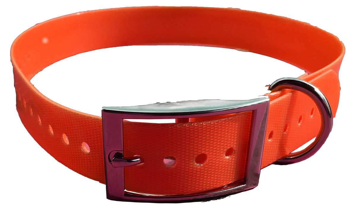 Collier pour chien 60cm