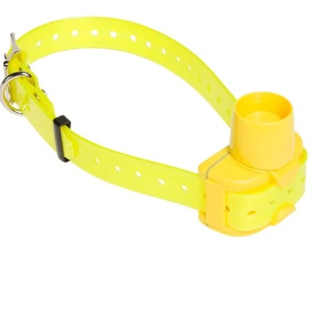 Collier Chien Beeper & Télécommande