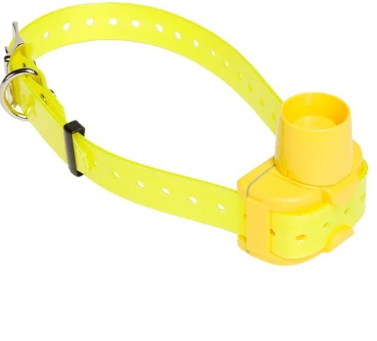 Collier Chien Beeper & Télécommande